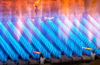 Arbury gas fired boilers